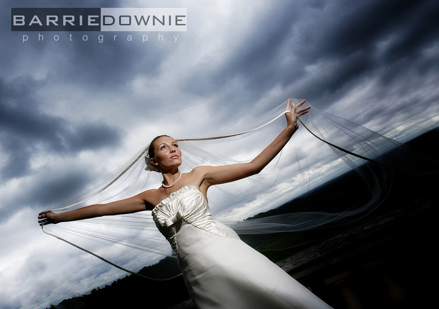 wedding-photographer-gold-swpp2 wedding-photographer-gold-swpp2