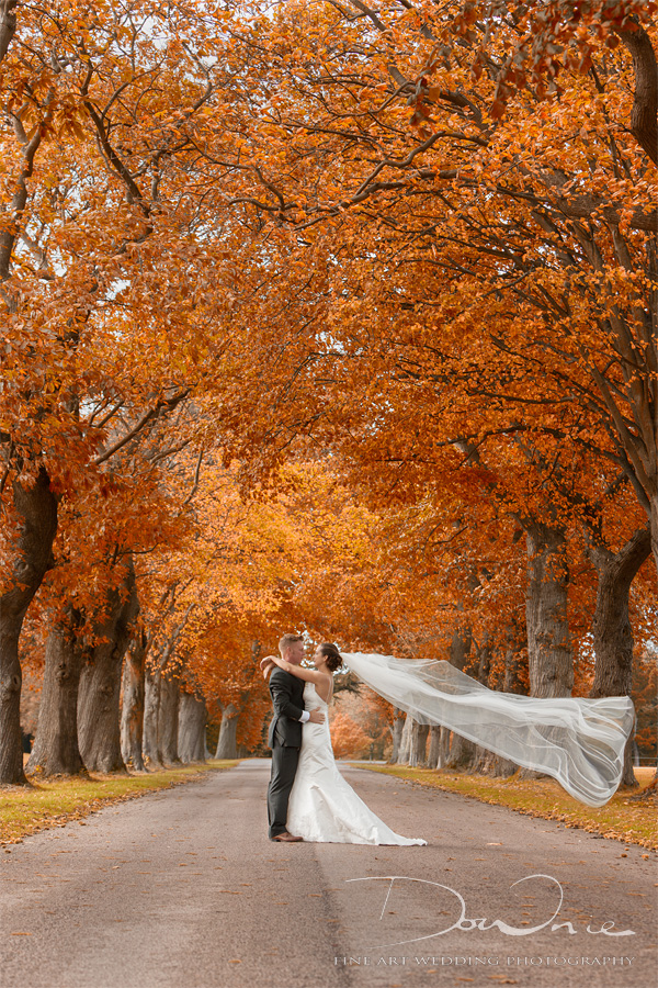 Goodwood house wedding photography sussex