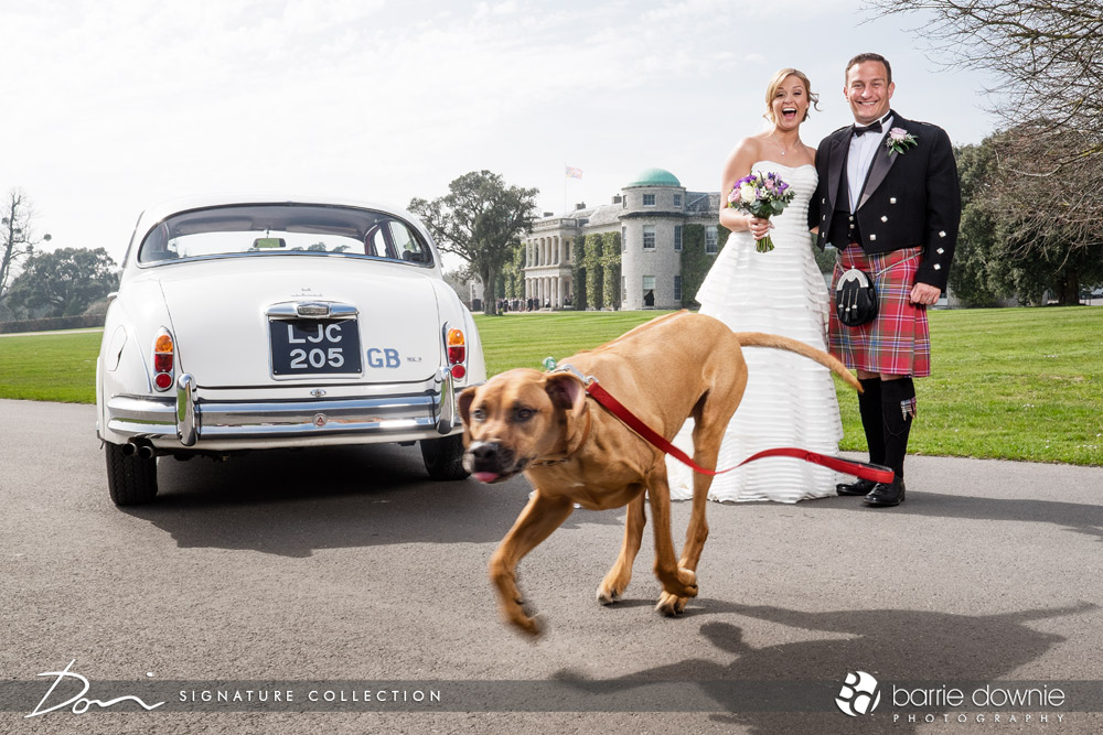 dog-at-goodwood-house-wedding