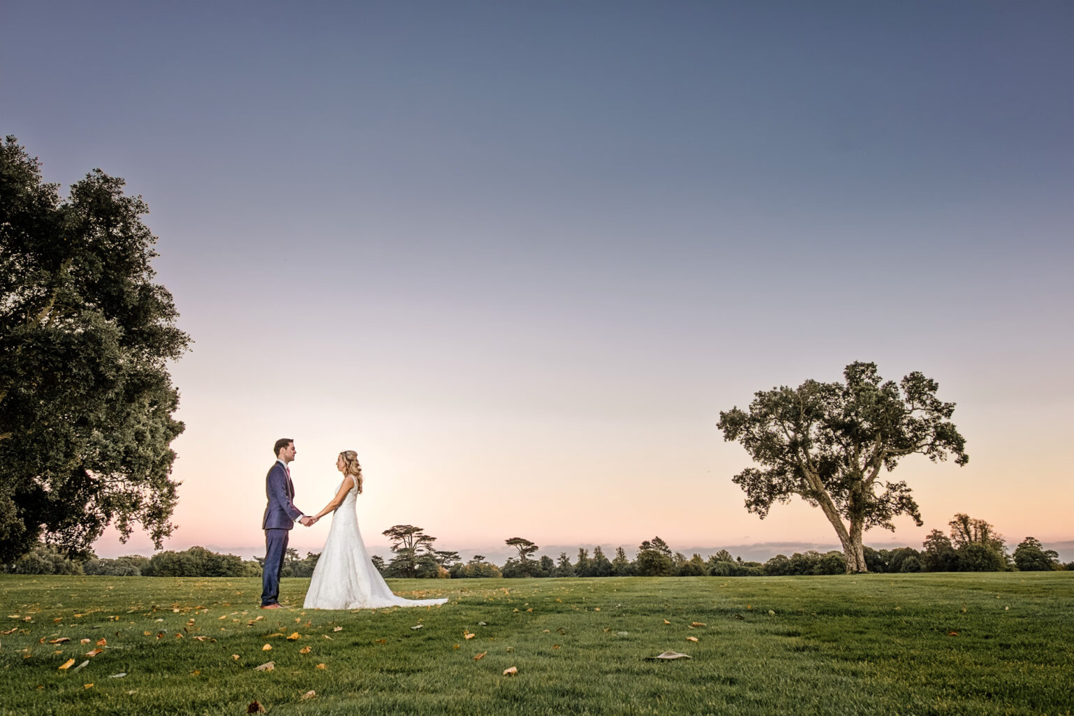 Couple under a lone tree at sunset at a Goodwood summer wedding