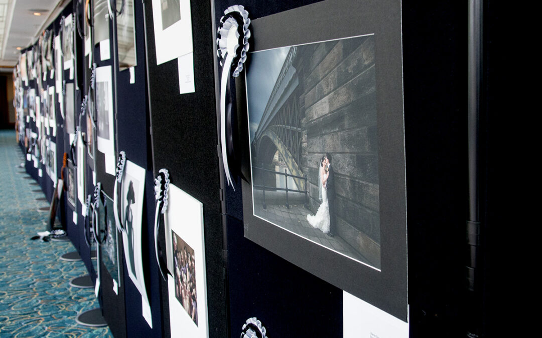 SWPP 20×16 Print competition awards